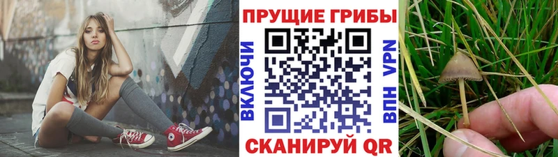 Псилоцибиновые грибы Magic Shrooms  mega онион  Архангельск  сайты даркнета Telegram  где найти наркотики 